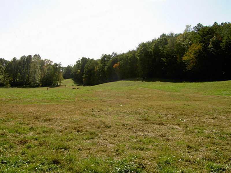 3055 Conns Creek Rd., Ball Ground, GA 30107