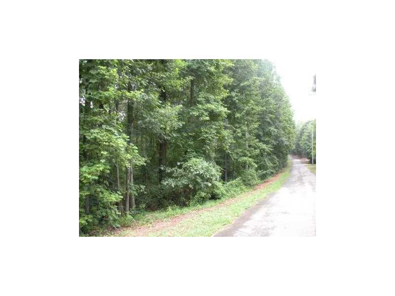 Old Hornage Rd., Ball Ground, GA 30107