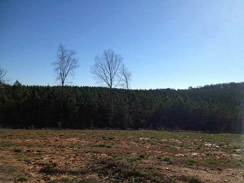 Trct 6 Reavis Mountain Rd., Ball Ground, GA 30107