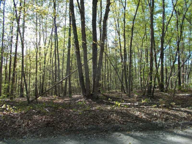 Trct 3 Lawrence Rd., Dawsonville, GA 30534