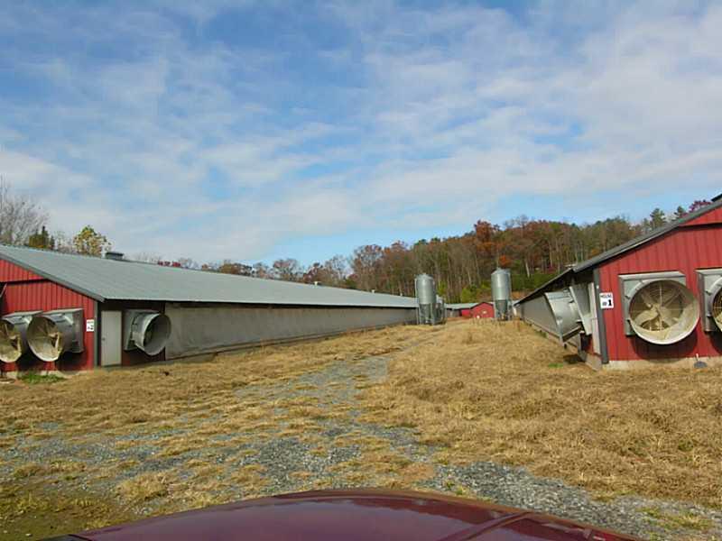 476 Alpine Farm Rd., Talking Rock, GA 30175