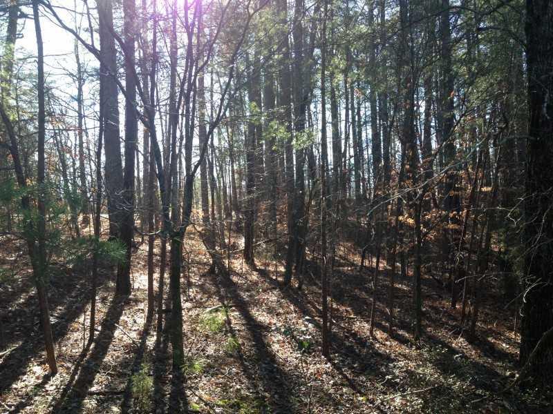 2842 Echols Rd., Cumming, GA 30041