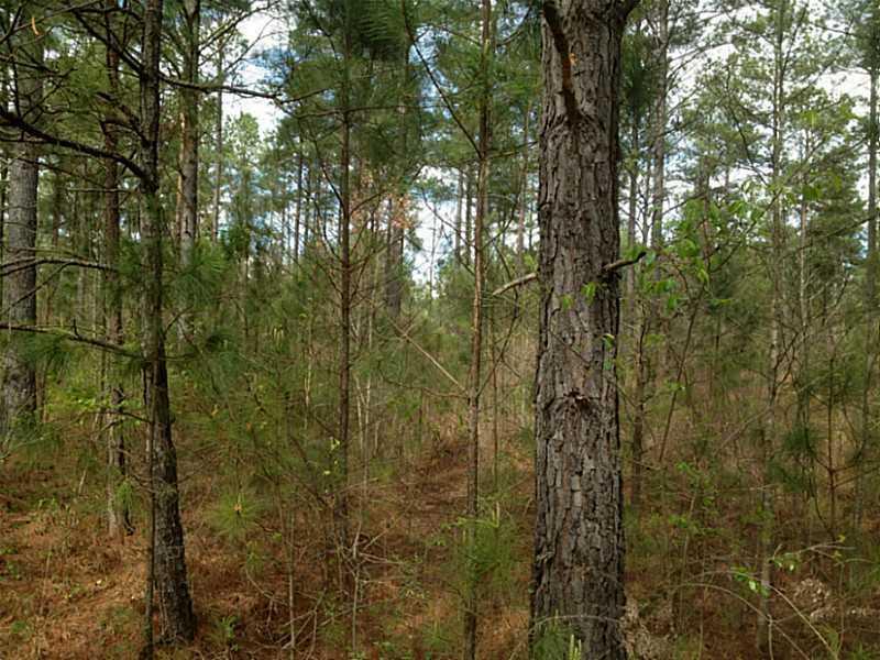 Trt 1 Arnold Spence Rd., Ball Ground, GA 30107