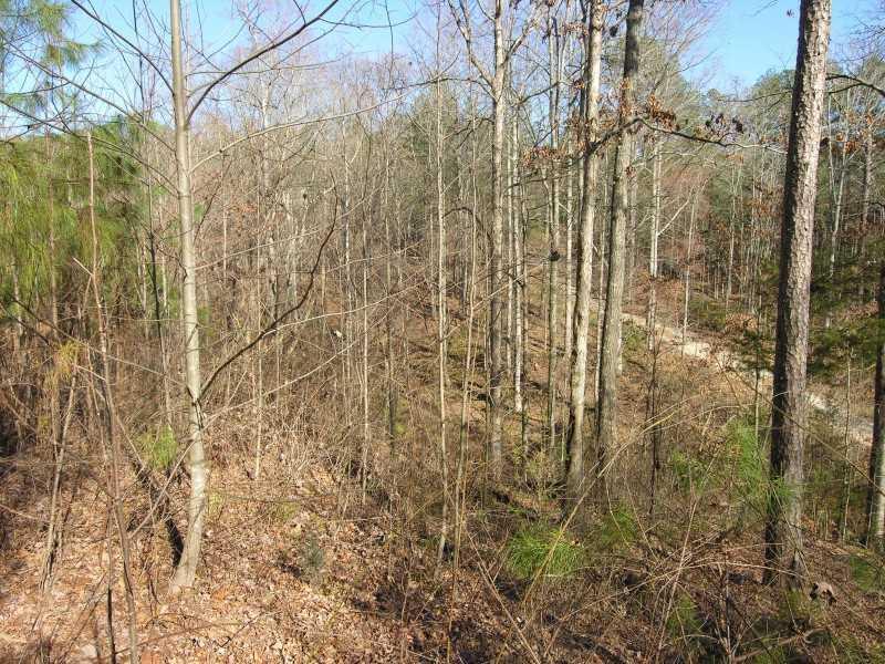 3725 Watson Fain Rd., Loganville, GA 30052