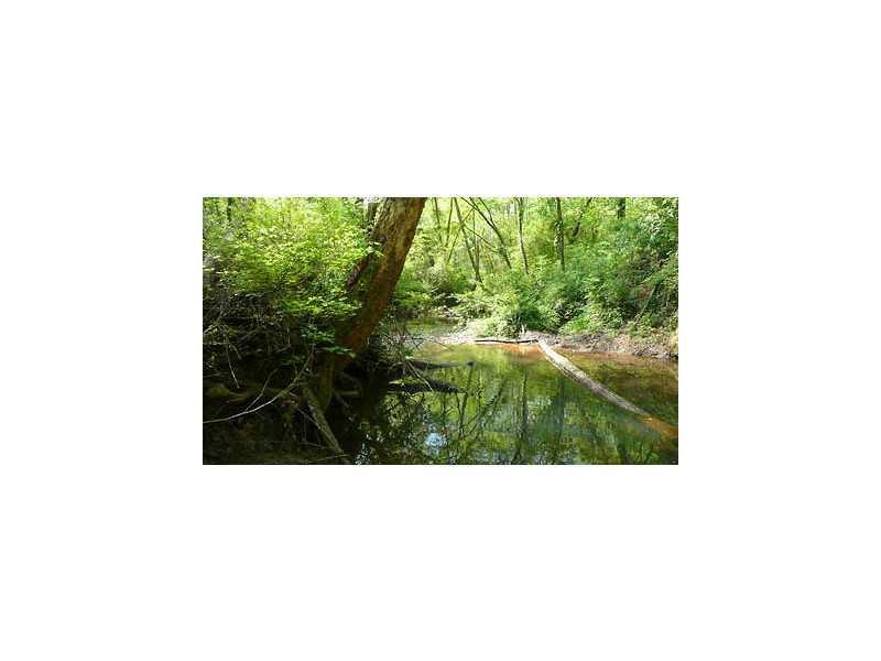 1194 W Wiley Bridge Rd., Woodstock, GA 30188