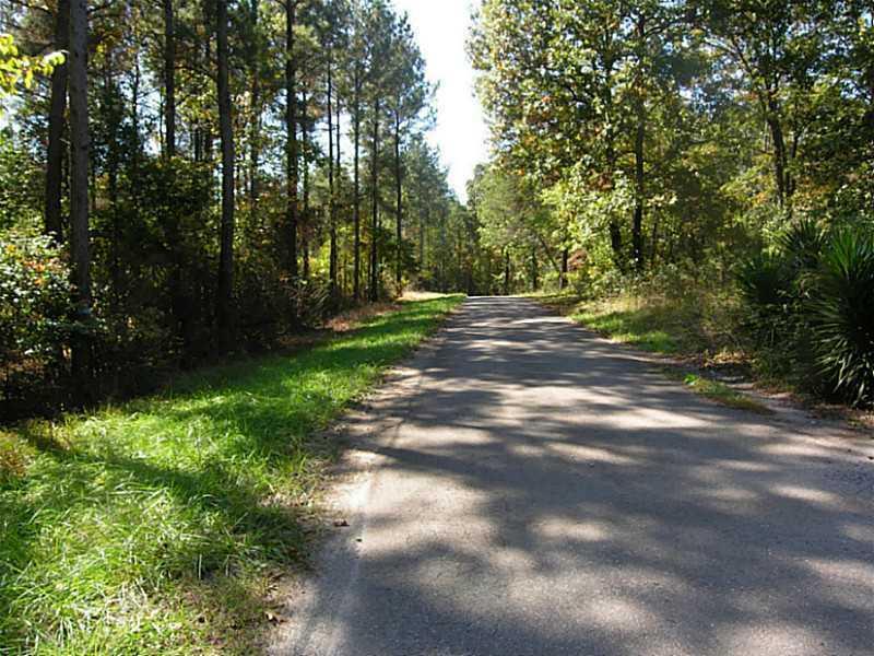 Old Hornage Rd., Ball Ground, GA 30107