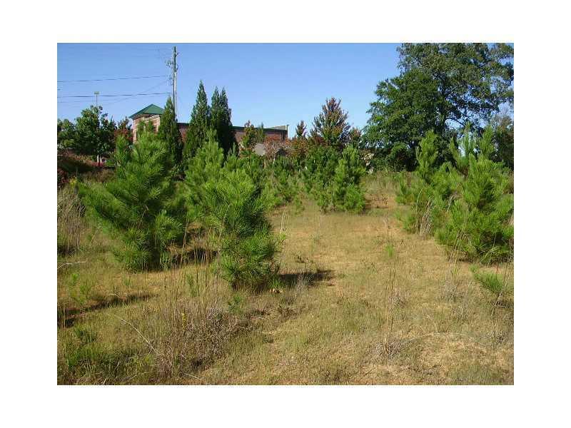 4095 South Lee St., Buford, GA 30518