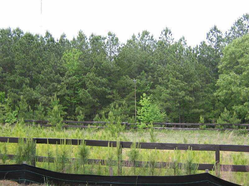 3539 Puckett Rd., Buford, GA 30519