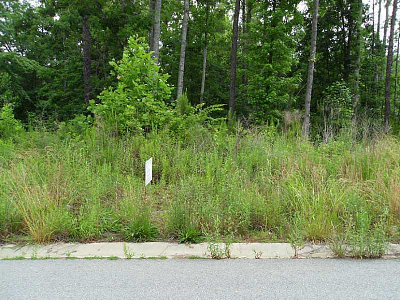 206 Sable Ridge Way, Acworth, GA 30102