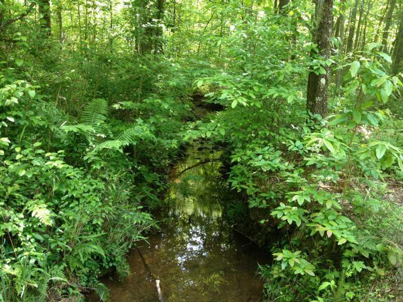 Byrd Mountain Ln., Canton, GA 30114