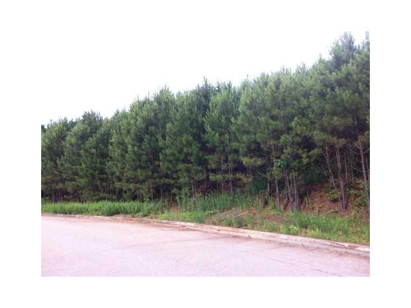 4540 Signal Ridge Ct., Buford, GA 30518