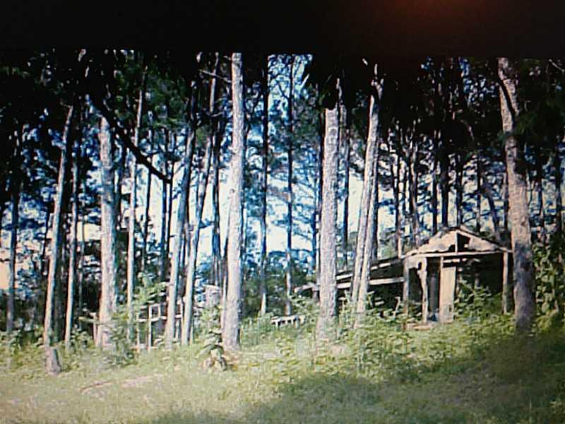 1005 School House Rd., Calhoun, GA 30701