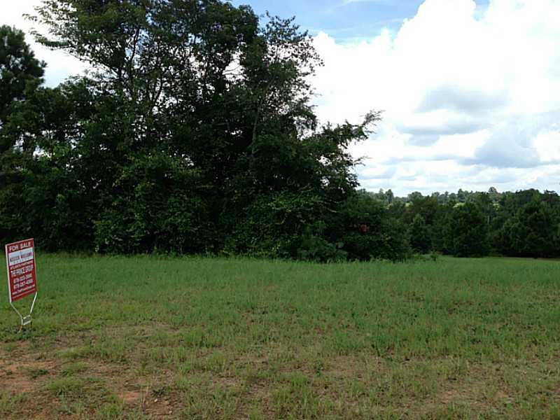 1009 Silver Thorne Dr., Loganville, GA 30052