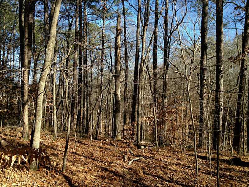 108 Virginia Ridge, Dallas, GA 30132