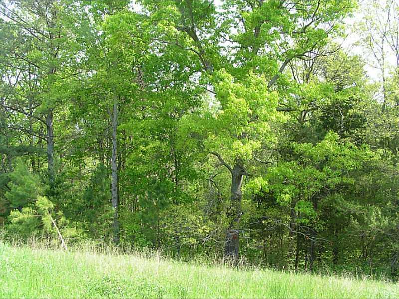 9946 Hickory Flat Hwy., Woodstock, GA 30189