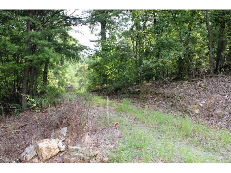 1090 Wild Azalea Tr., Waleska, GA 30183