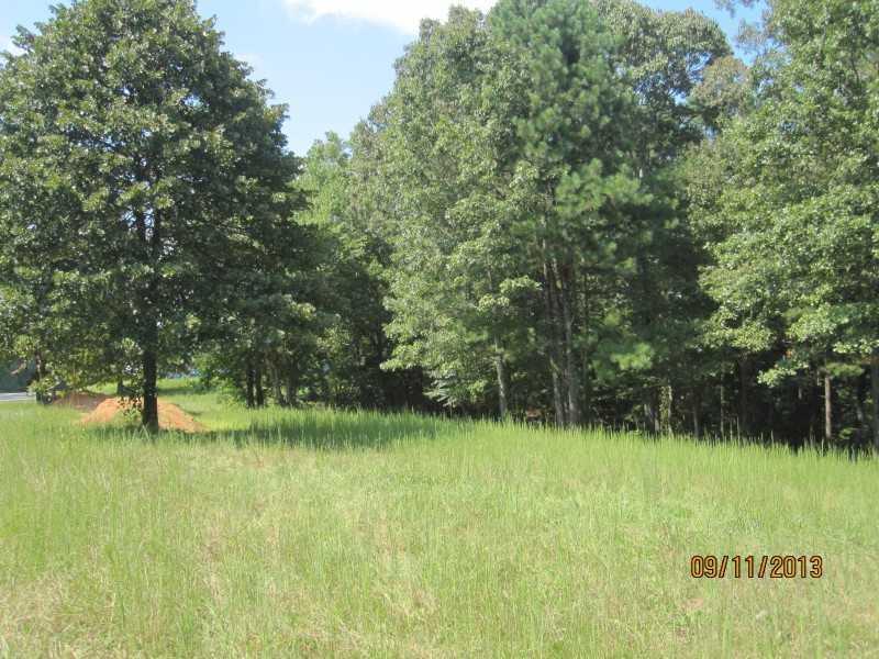 161 Roberts Way, Canton, GA 30114