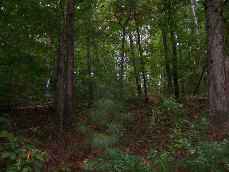 63 Lakeshore Dr., Berkeley Lake, GA 30096