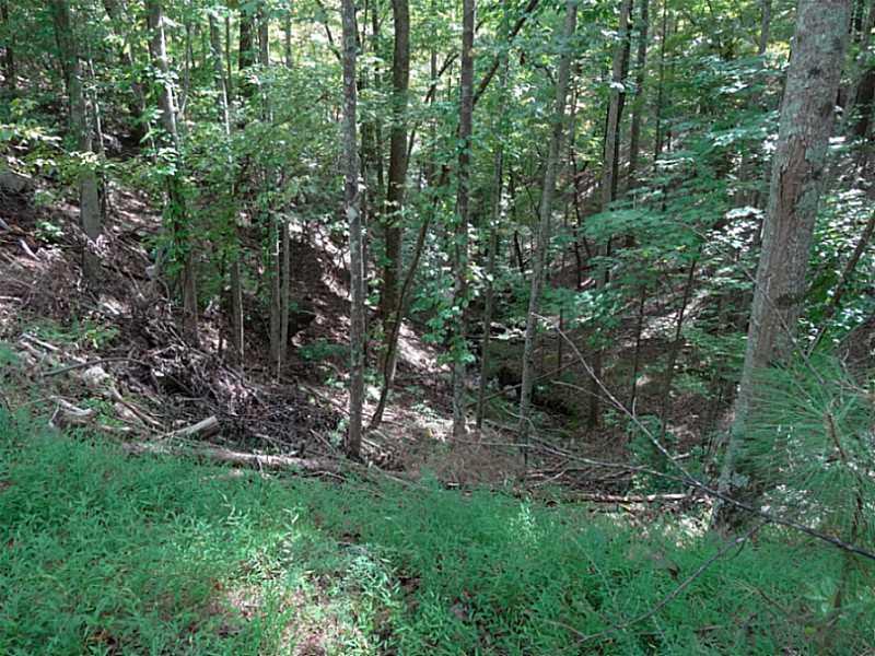 218 Morse Elm Loop, Waleska, GA 30183