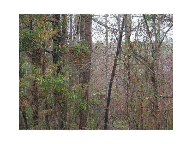 5355 1 John Burruss Rd., Cumming, GA 30040