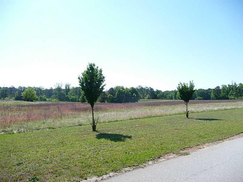 SW Union Church Rd., Stockbridge, GA 30281