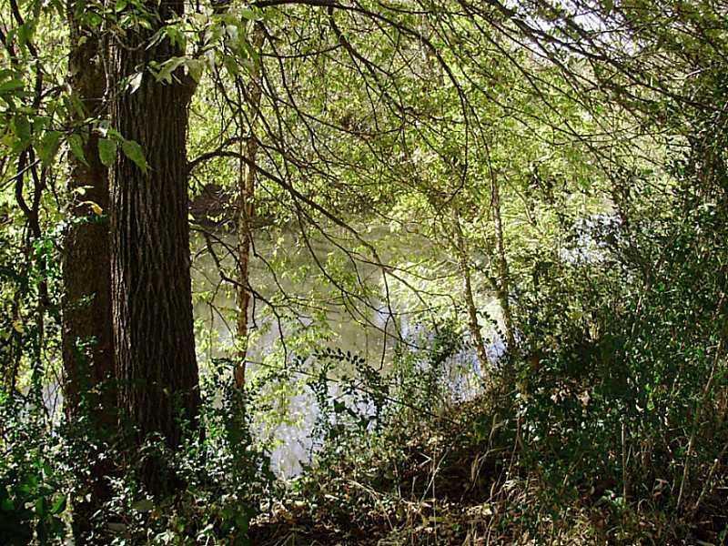 TR 3 Allison Ln., Ball Ground, GA 30107