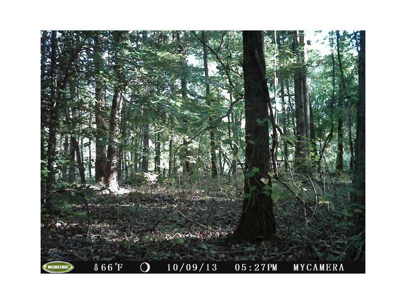 [Address Hidden by Seller], Gillsville, GA 30543