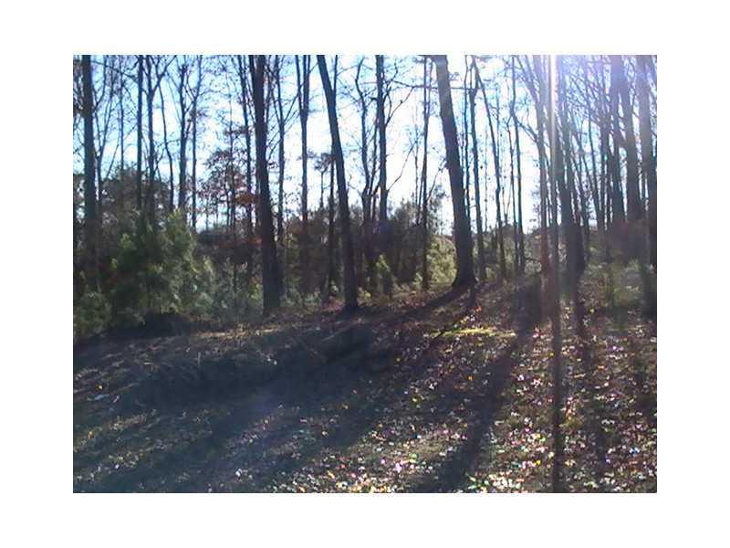 2809 Carson Garret Ct., Buford, GA 30519