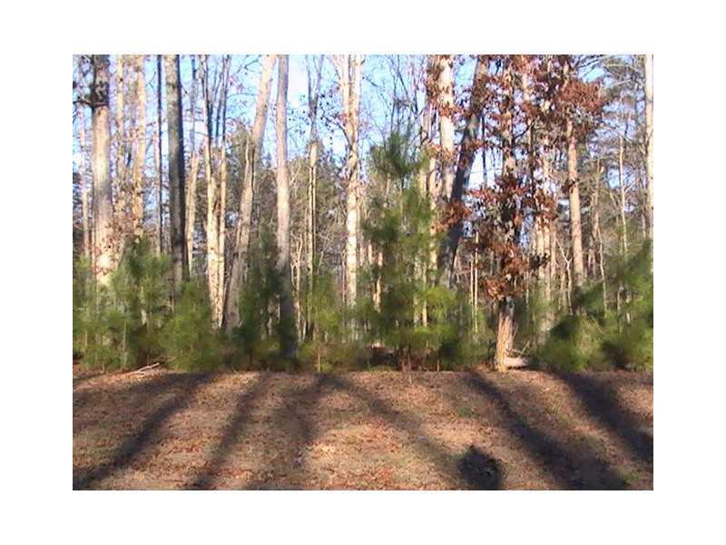 2829 Carson Garret Ct., Buford, GA 30519