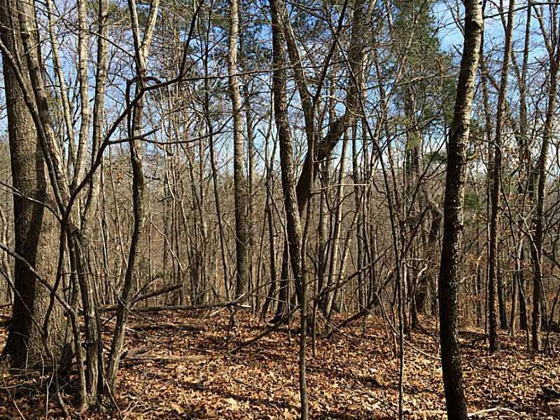 311 Green Ridge Rd., Cartersville, GA 30120