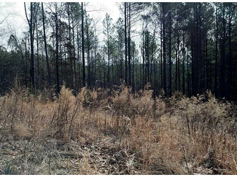 1D Old Hornage Rd., Ball Ground, GA 30107