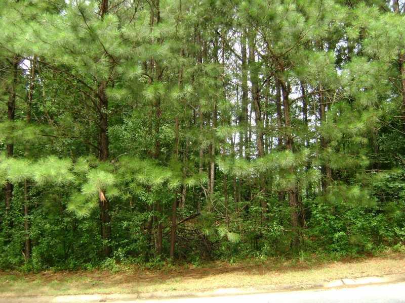 5250 Oglethorpe Ct., Powder Springs, GA 30127