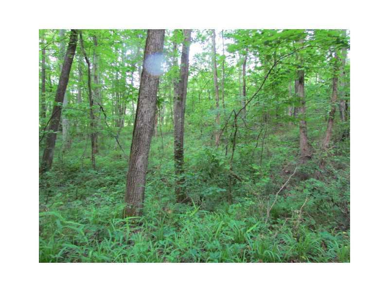 6754 Yacht Club Dr., Acworth, GA 30102