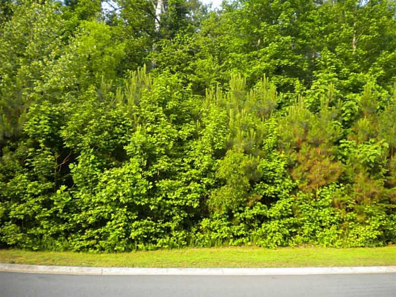 Camden Cove Dr., Cumming, GA 30040