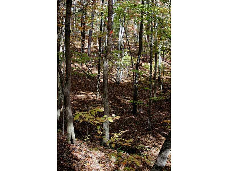 148 Robert Jones Rd., Dawsonville, GA 30534