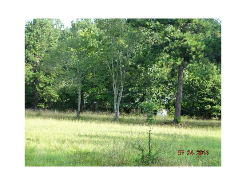 1039 W Vineyard Rd., Griffin, GA 30223