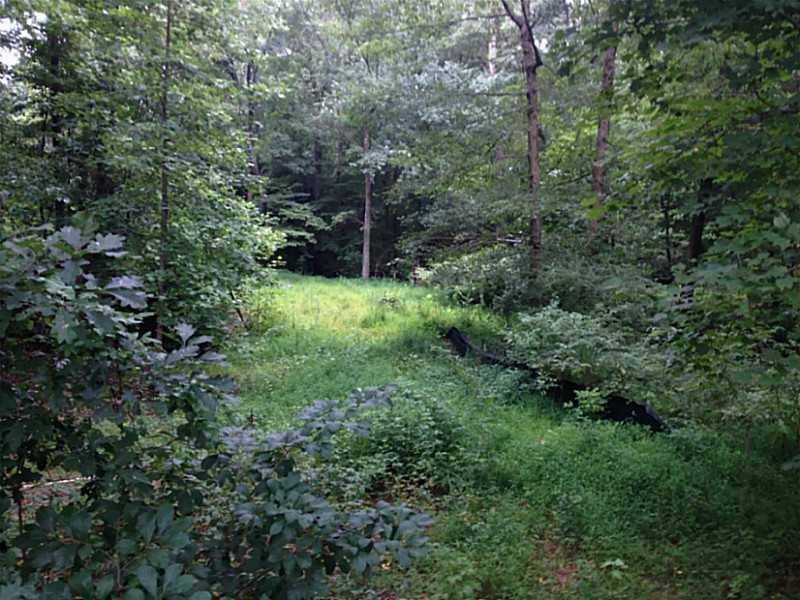 263 Wilkie Tr., Cumming, GA 30028