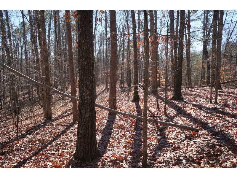 155 Old Shoal Creek Rd., Canton, GA 30114