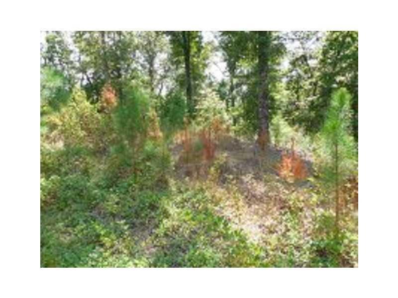 363 Old Post Tr., Talking Rock, GA 30175
