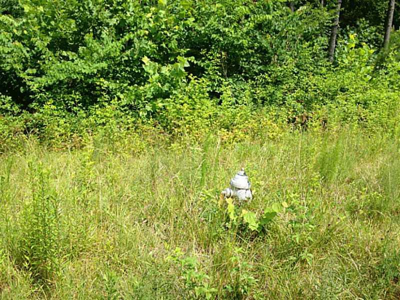 Lot 8 Cumberland Ave., Dallas, GA 30157