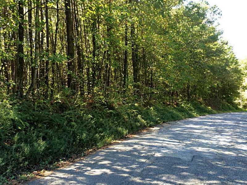 00 Long Rd., Jasper, GA 30143