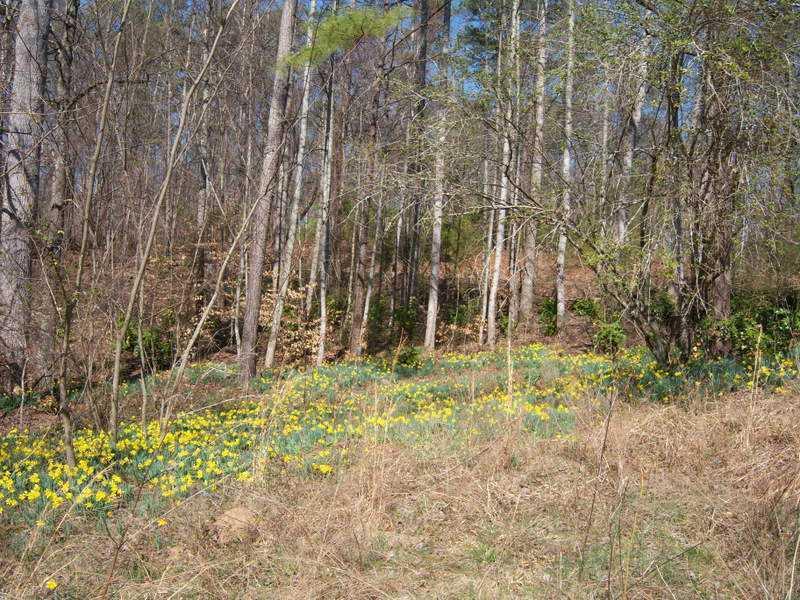 100 Sweetwater Creek Rd., Canton, GA 30114