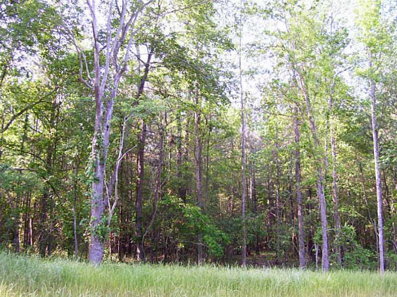 13.64 Shockley Springs Dr., Monroe, GA 30656