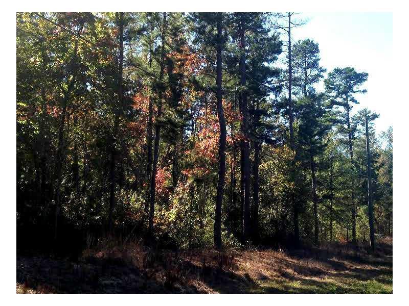 Snows Mill Rd., Monroe, GA 30655