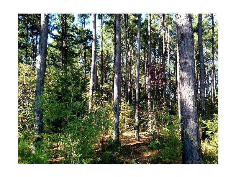 00 Snows Mill Rd., Monroe, GA 30656