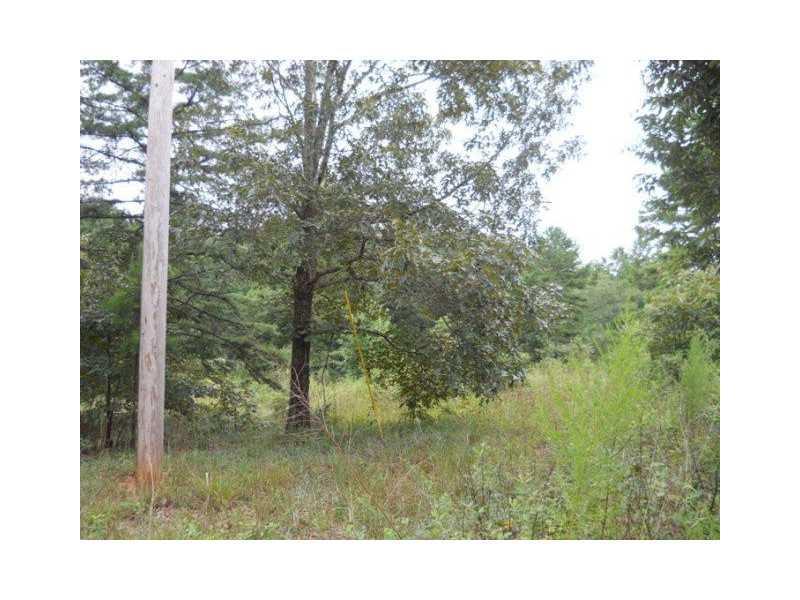 59 Sweetwater Dr., Buena Vista, GA 31803