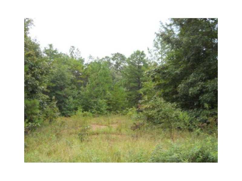 41 Sweetwater Dr., Buena Vista, GA 31803