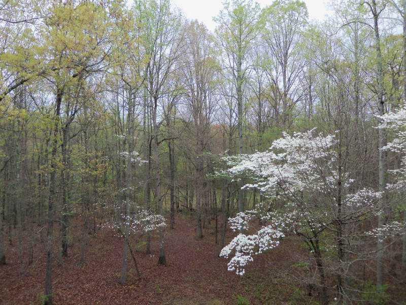 0000 Flint Hill Rd., Douglasville, GA 30135
