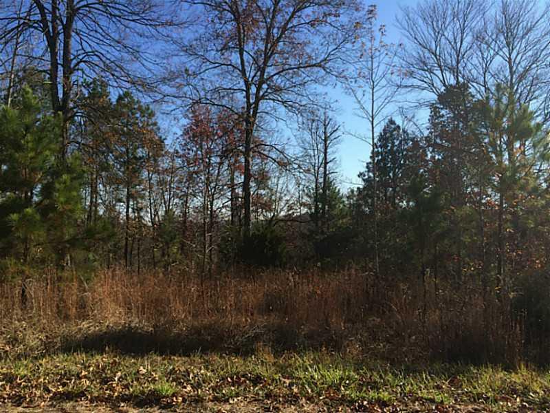 Perkins Mountain Rd., Adairsville, GA 30103