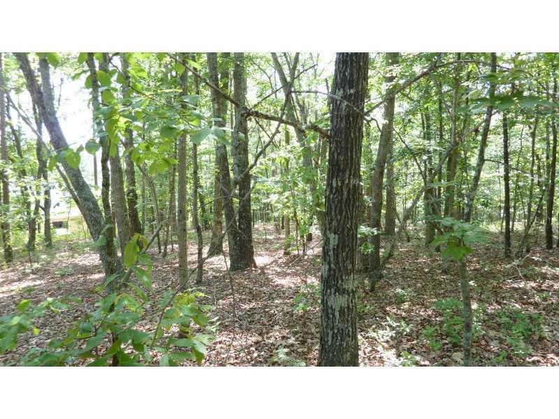 Lot 12 Fern Park Ln., Dawsonville, GA 30534
